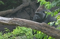 Kids_DZoo_Safari-I (126)